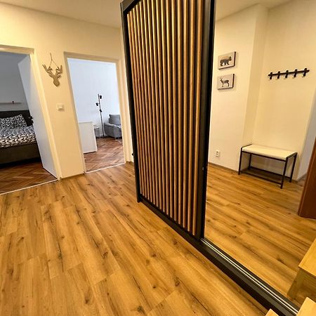 Ferienwohnung Apartman Visek Jáchymov Exterior foto