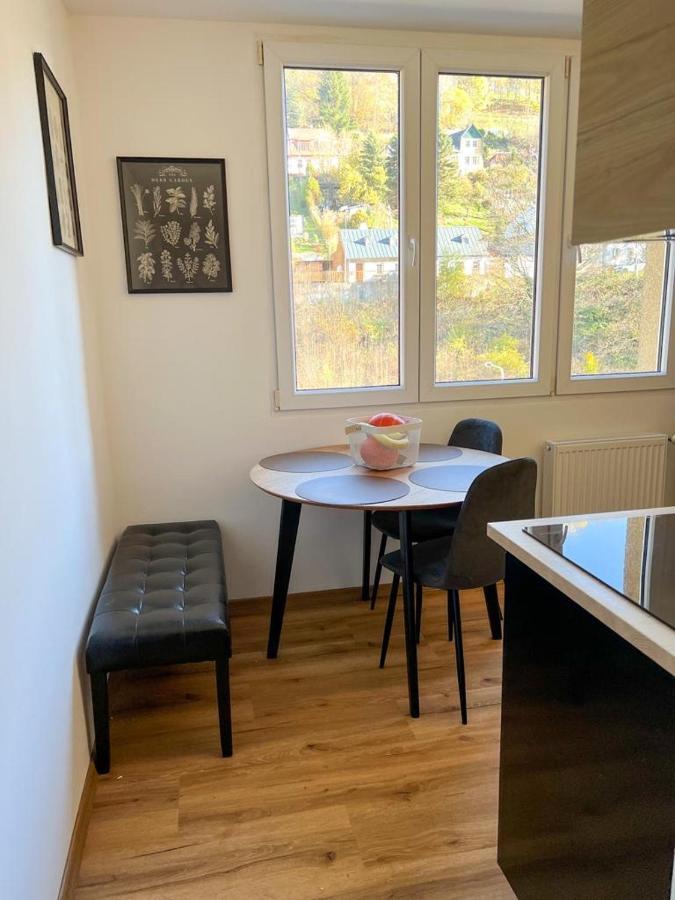 Ferienwohnung Apartman Visek Jáchymov Exterior foto