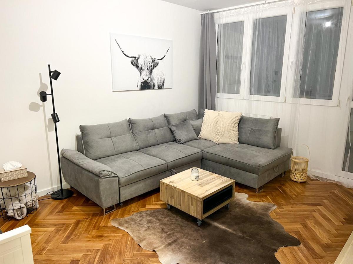 Ferienwohnung Apartman Visek Jáchymov Exterior foto