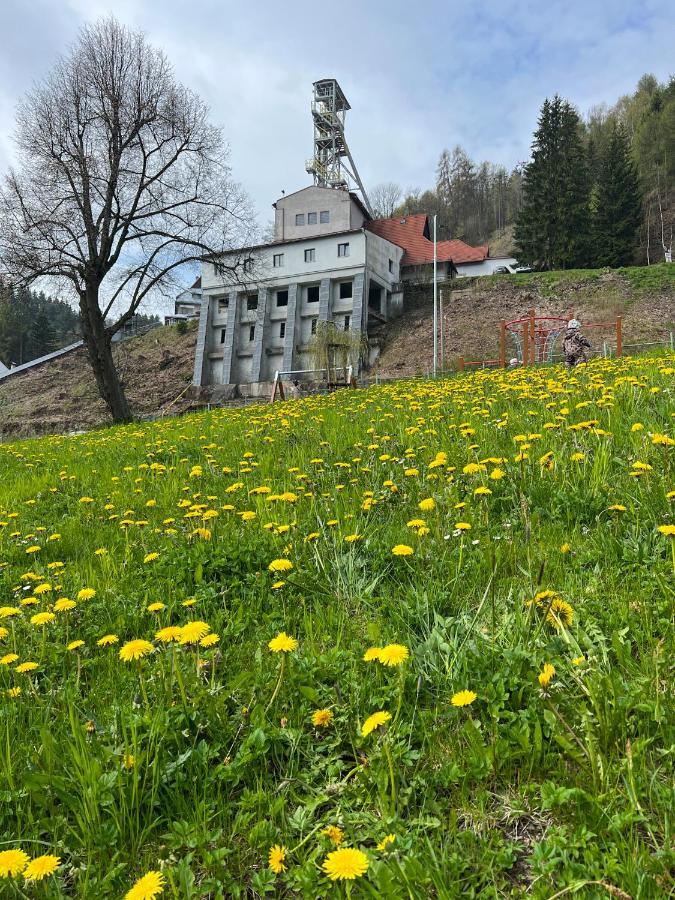 Ferienwohnung Apartman Visek Jáchymov Exterior foto