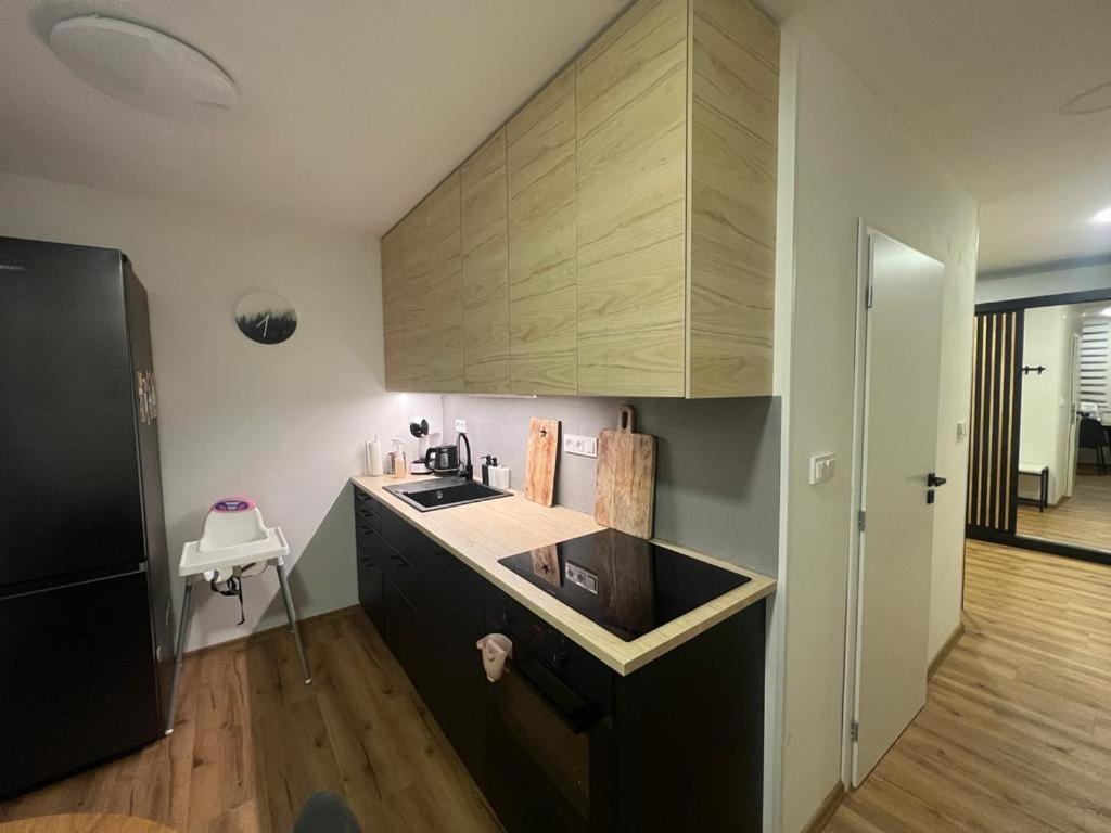 Ferienwohnung Apartman Visek Jáchymov Exterior foto